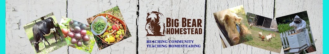 Big Bear Homestead Avatar canale YouTube 