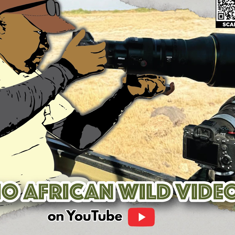 Patho African Safari Wild Videos channel avatar