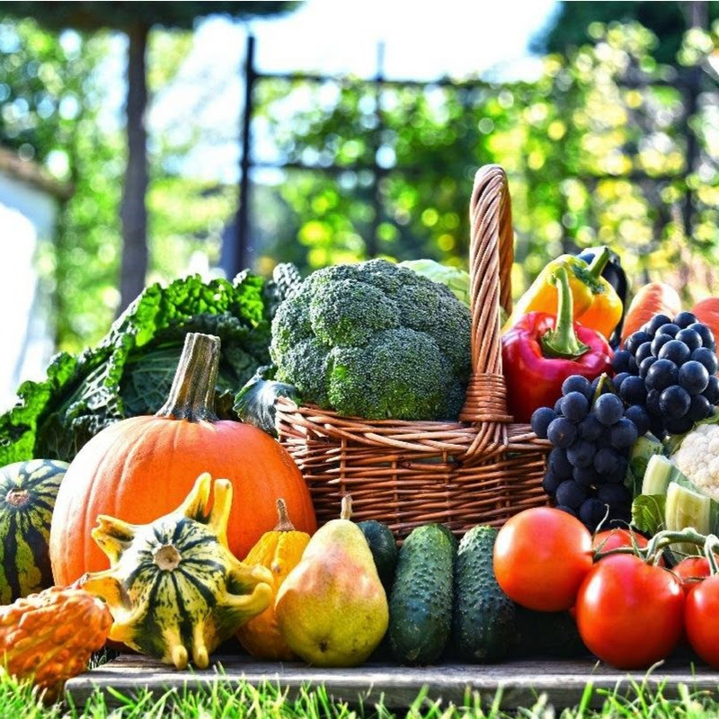 Богатый Сад и Огород Logo