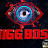 Bigg boss