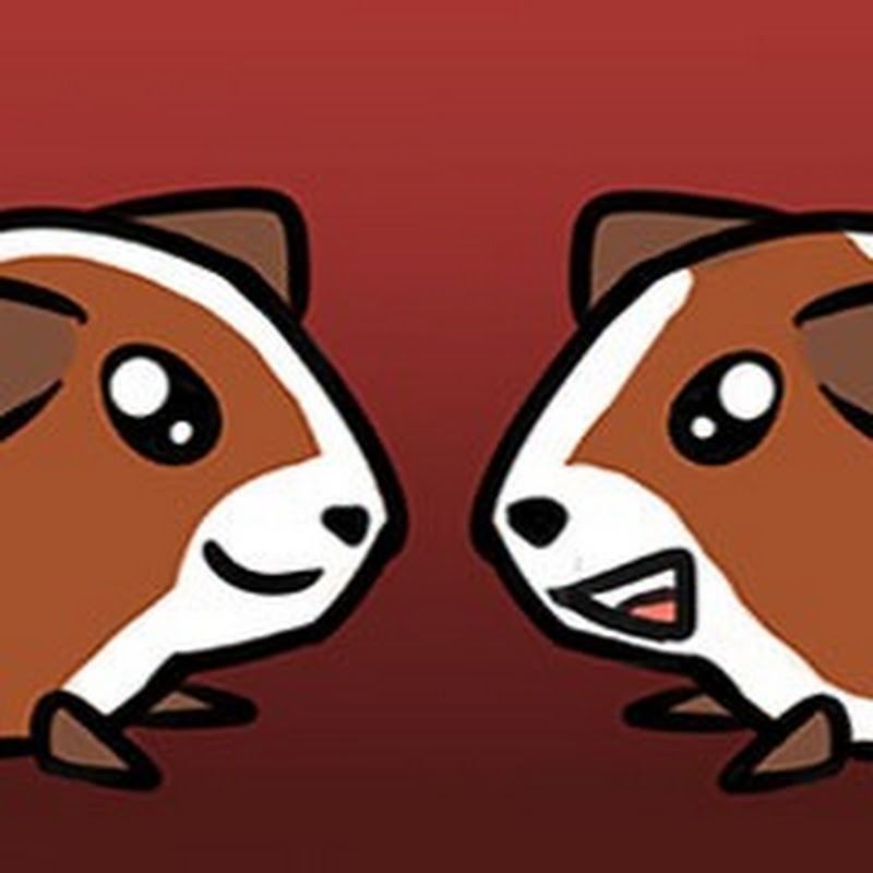 ShinkoNet icon