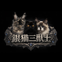 銀猫三獣士　silvercat_guild