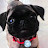 @Iron_pug