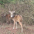 Ctw12KpvMRA-channel-avatar-The True wild India 