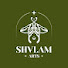 YM64cBvzAjE-channel-avatar-shvlam arts