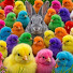 0Kr_FHWLLvY-channel-avatar-Ayam Muymuy