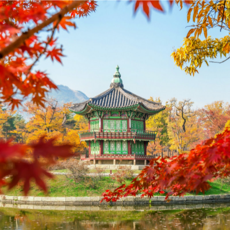 Lonely Seoul Traveler