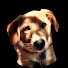 5vDq6SmZJdw-channel-avatar-funky & dadoo