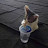 @nuts4272's avatar