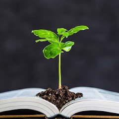 かんぽ出向な私アイコン画像