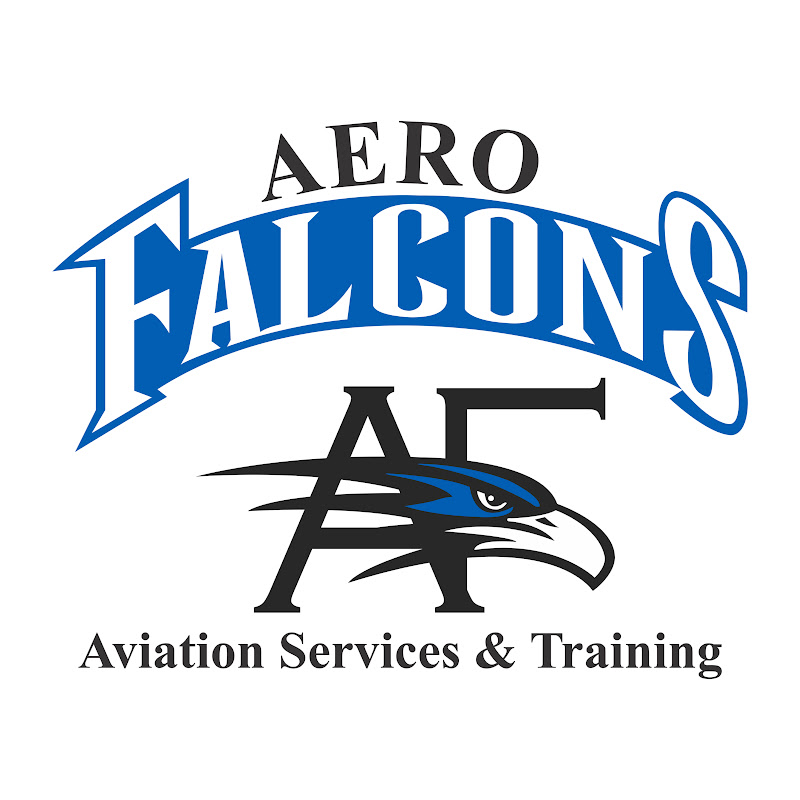 Aero Falcons Aviation Training academy &services