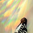 LDnHUsNZ7DI-channel-avatar-Notes to Sherr