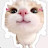 @RAGHADdduf