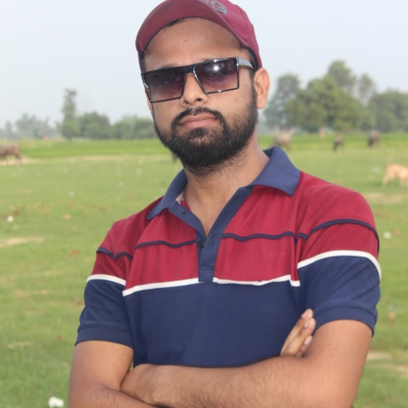 Vikas Raj AI Stories.