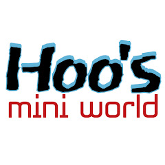 Hoo's mini world net worth