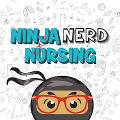Ninja Nerd Nursing net worth
