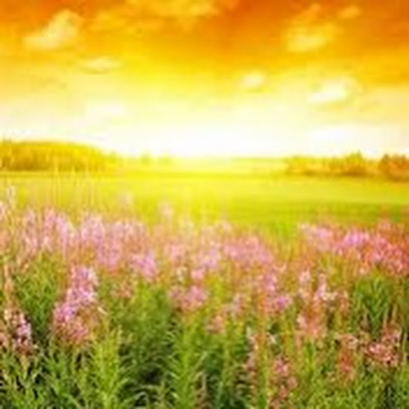 Aurora reads a story