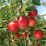 Channel Image