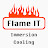FlameIT - Immerson Cooling