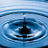 hyJ2yRq1vvw-channel-avatar-Neviro