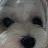 @자차자차