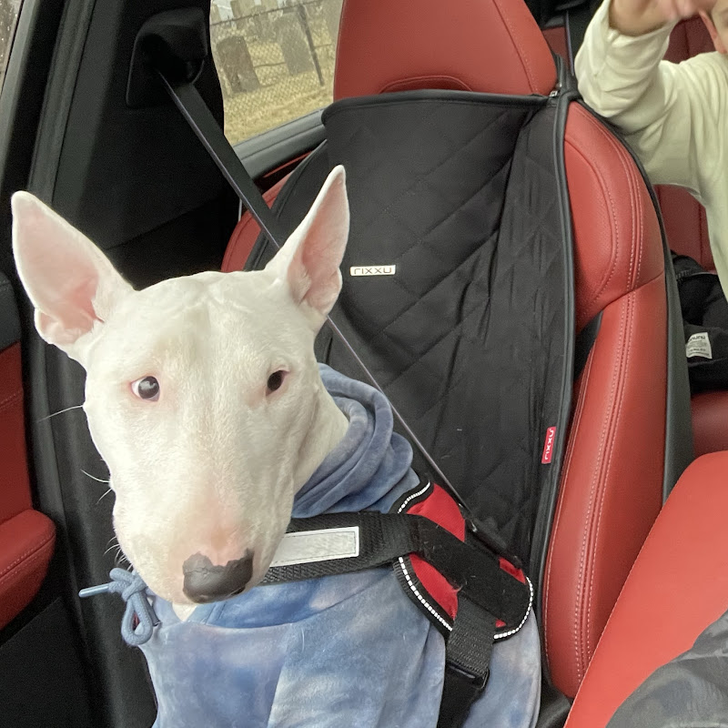 Targetdog777