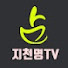 지천명TV (더마스터 사주타로)