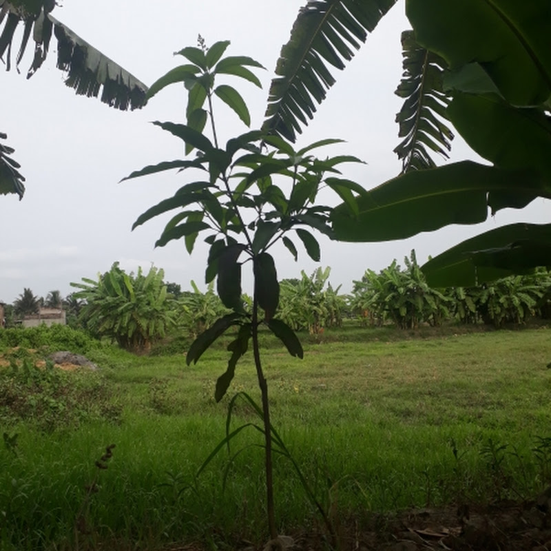 Hire AAST  CREATION — Productivity & Time Management (Personal Focus) YouTube creator for sponsorships