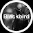 @Blackbird-wt5tn