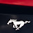 @머스탱_MUSTANG