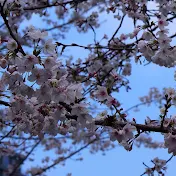 tstyle-danceinjapan2