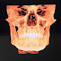jKbh9LF_8jQ-channel-avatar-KThugston