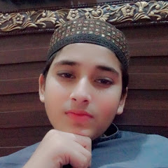 Hafiz Ali hassan 786