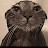 Avatar de @JeycoHernandez-h9r