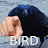 @Bird-kw1io