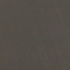 足の表