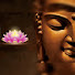 hgVhKDbxeO0-channel-avatar-မေတ္တာပါရမီတရားတော်