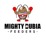Mighty Dubia Feeders