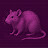 @Nyar-the-rat