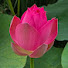 Channel Image