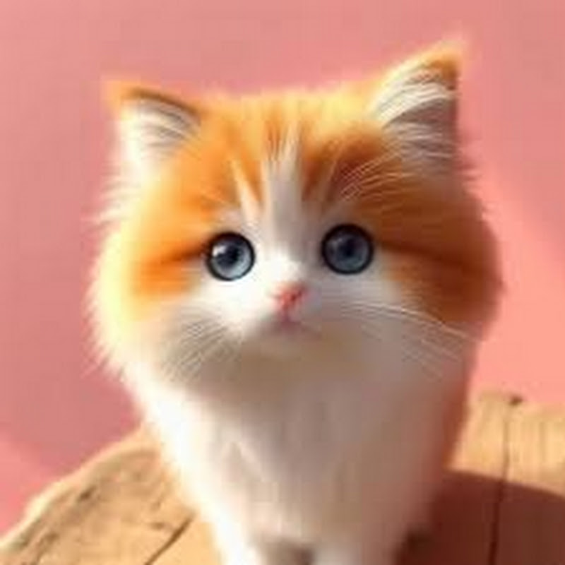 人の人生の終わりの物語