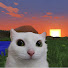 cpdPbDDAHDo-channel-avatar-Slow Hours
