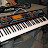 Roland Juno  g