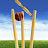 Cricket Algorithm 2M Sub