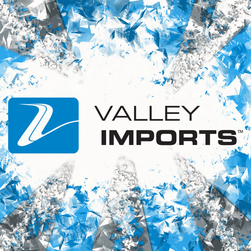 Valley Imports