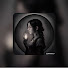 qAKlS_0EzPg-channel-avatar-Midnight Dossier