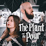 -foCWKI7iTA-channel-avatar-The Plant and The Pour