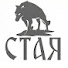 3JoDoN9myNY-channel-avatar-Стая | Staya