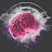 @dustbraindesign6486