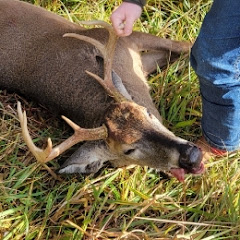 True Hillbilly outdoors